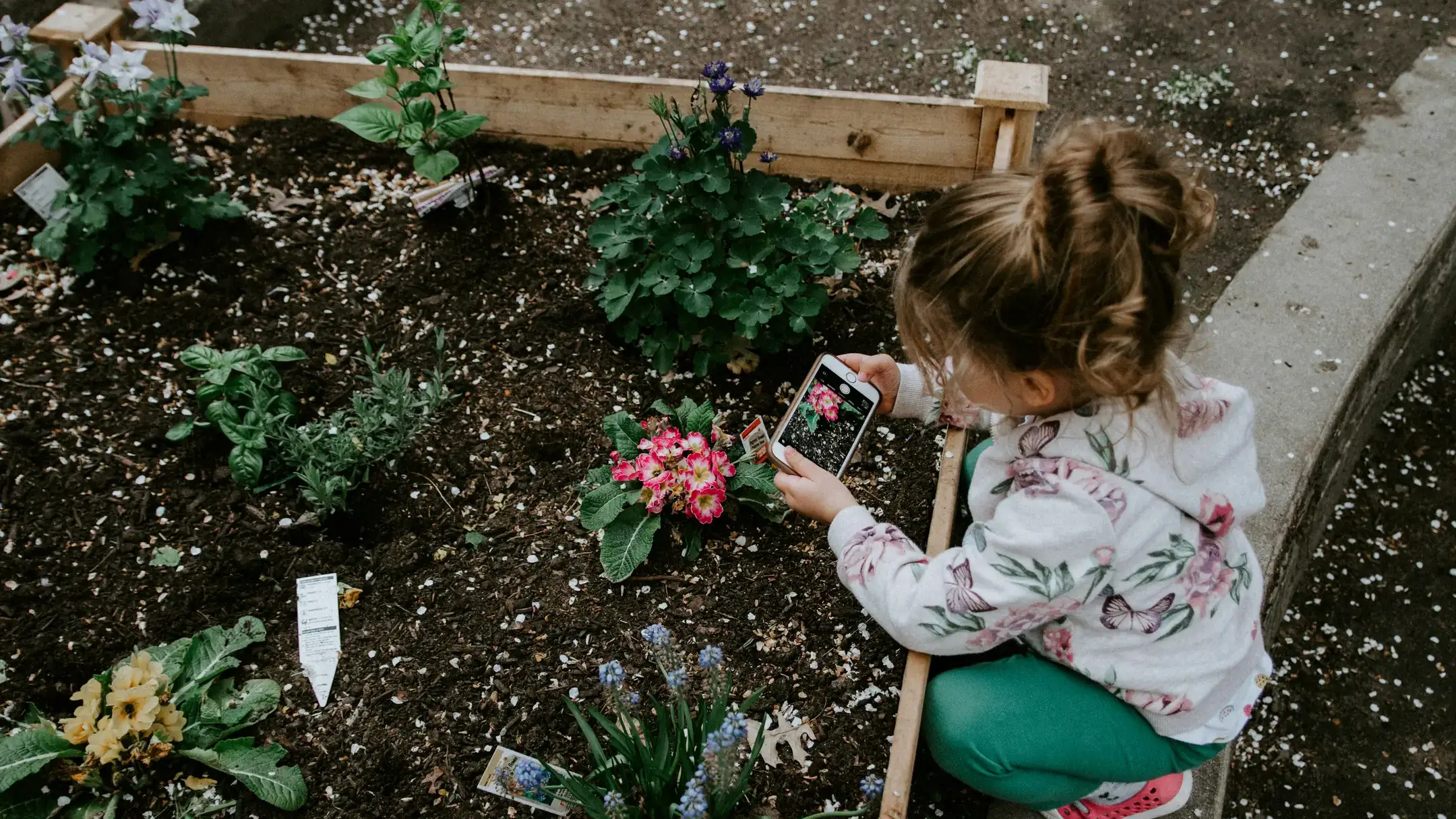 People working in the garden