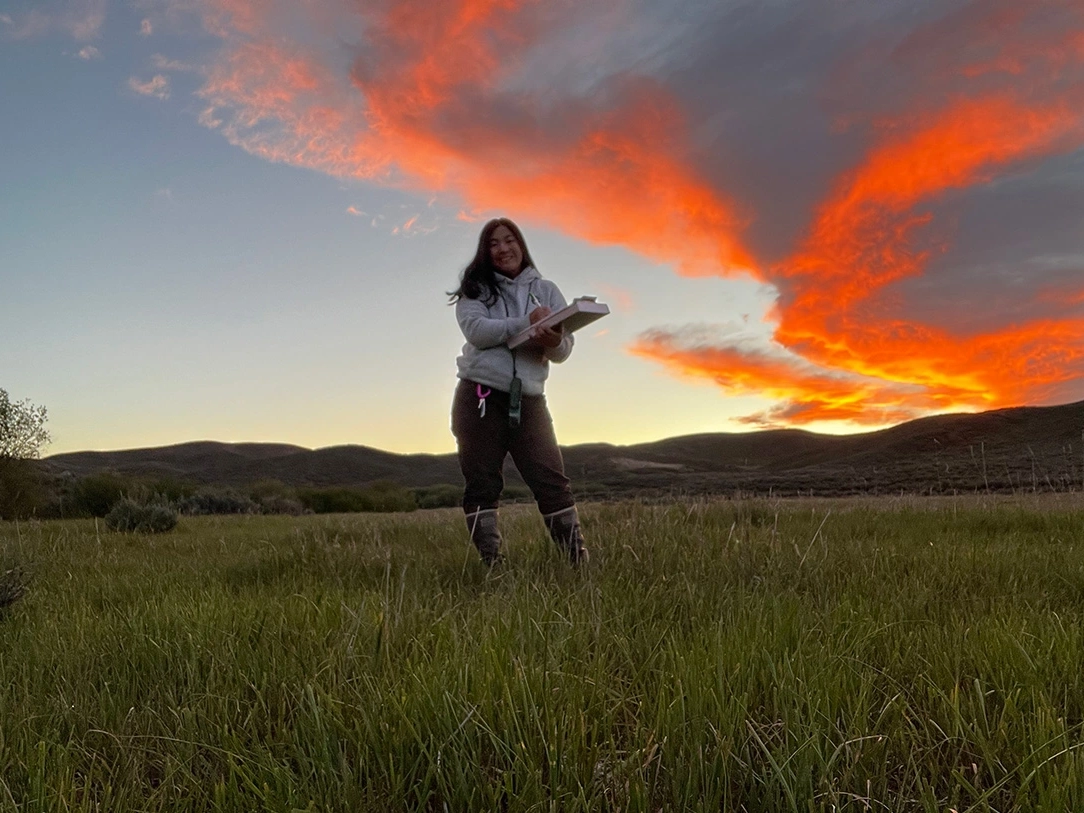 A woman with a clipboard stands in a field in low light with pink clouds.