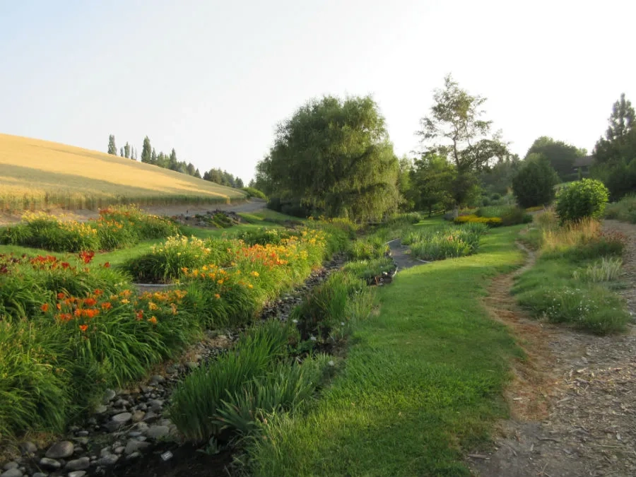 Red orange and golden blossoms next to an Arboretum path