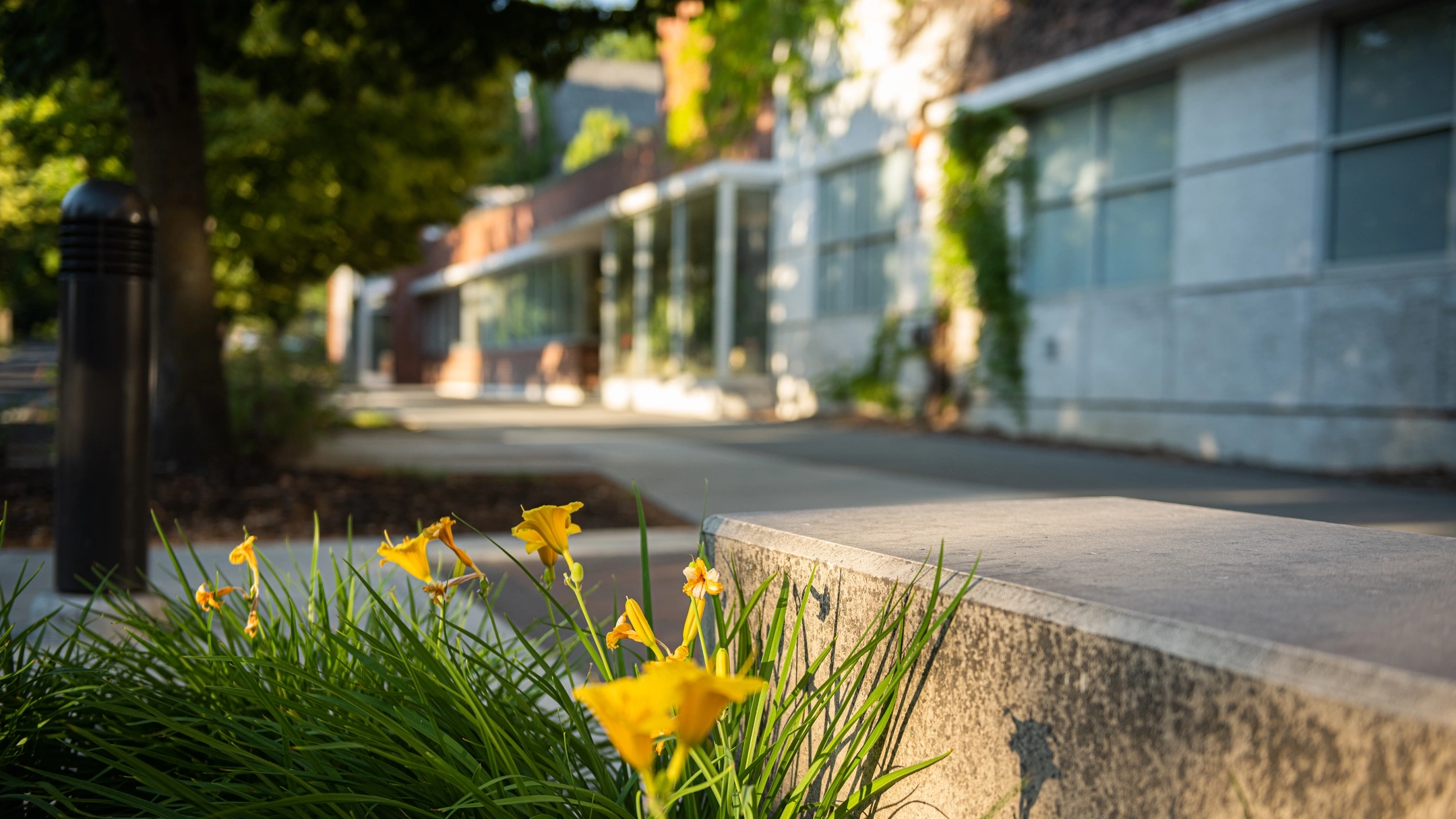 Season campus scenery spring stock