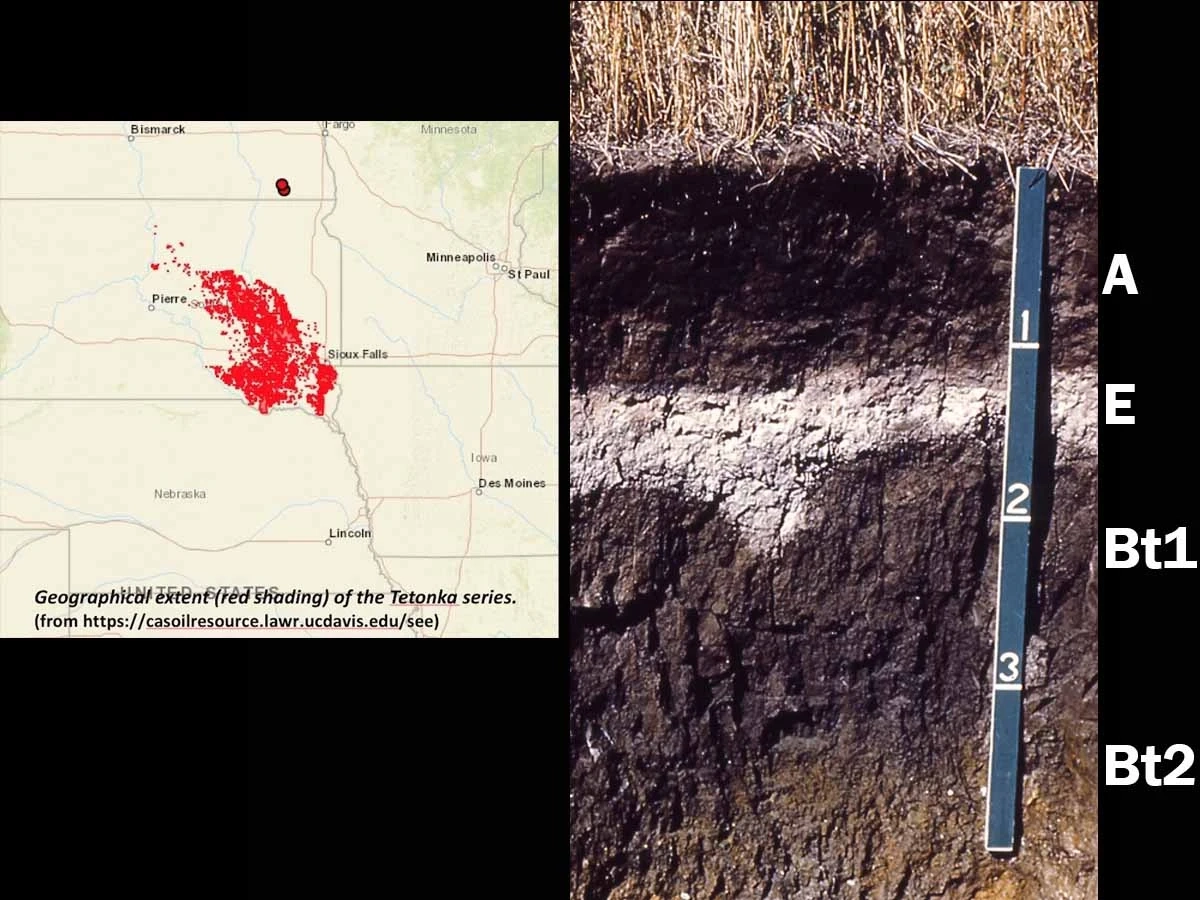 Argialboll in South Dakota