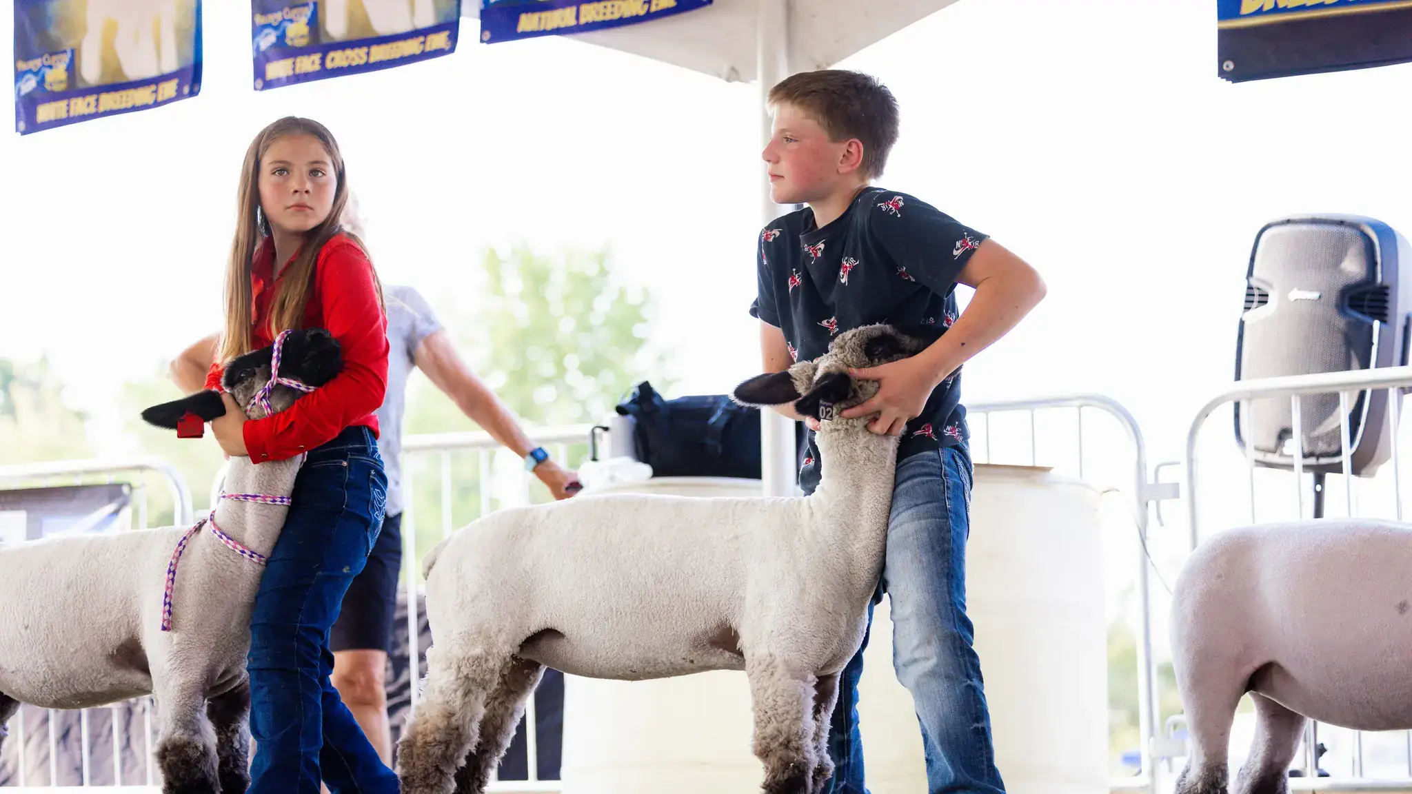 4-H youth photos across the state