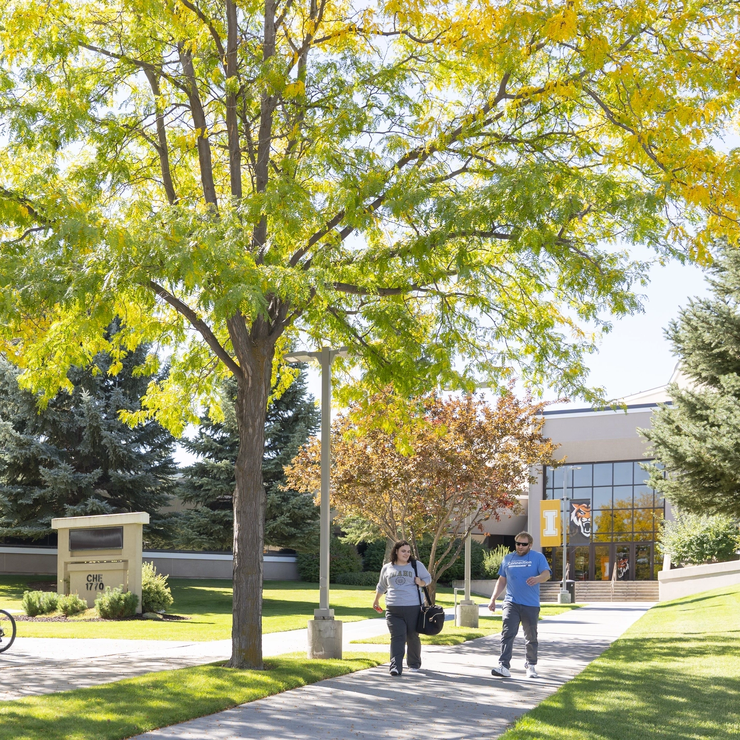 Fall 2024 stock imagery from Idaho Falls campus.