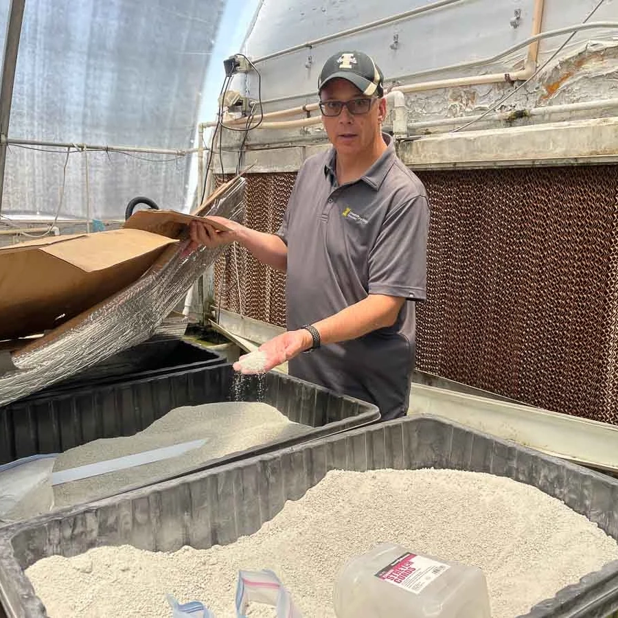  man holds a handful of mineral amendments in a greenhouse.