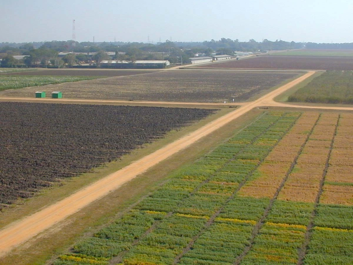 Haplustert landscape of fields