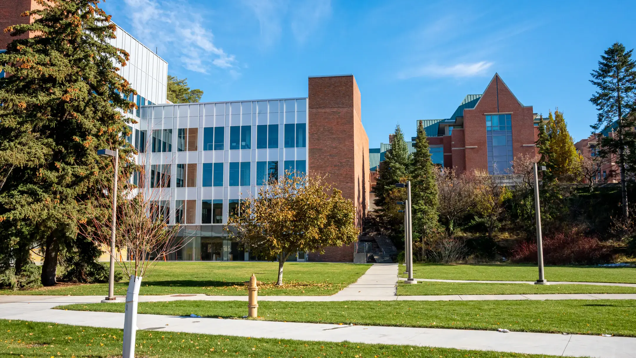 College of Education, Health and Human Sciences building.