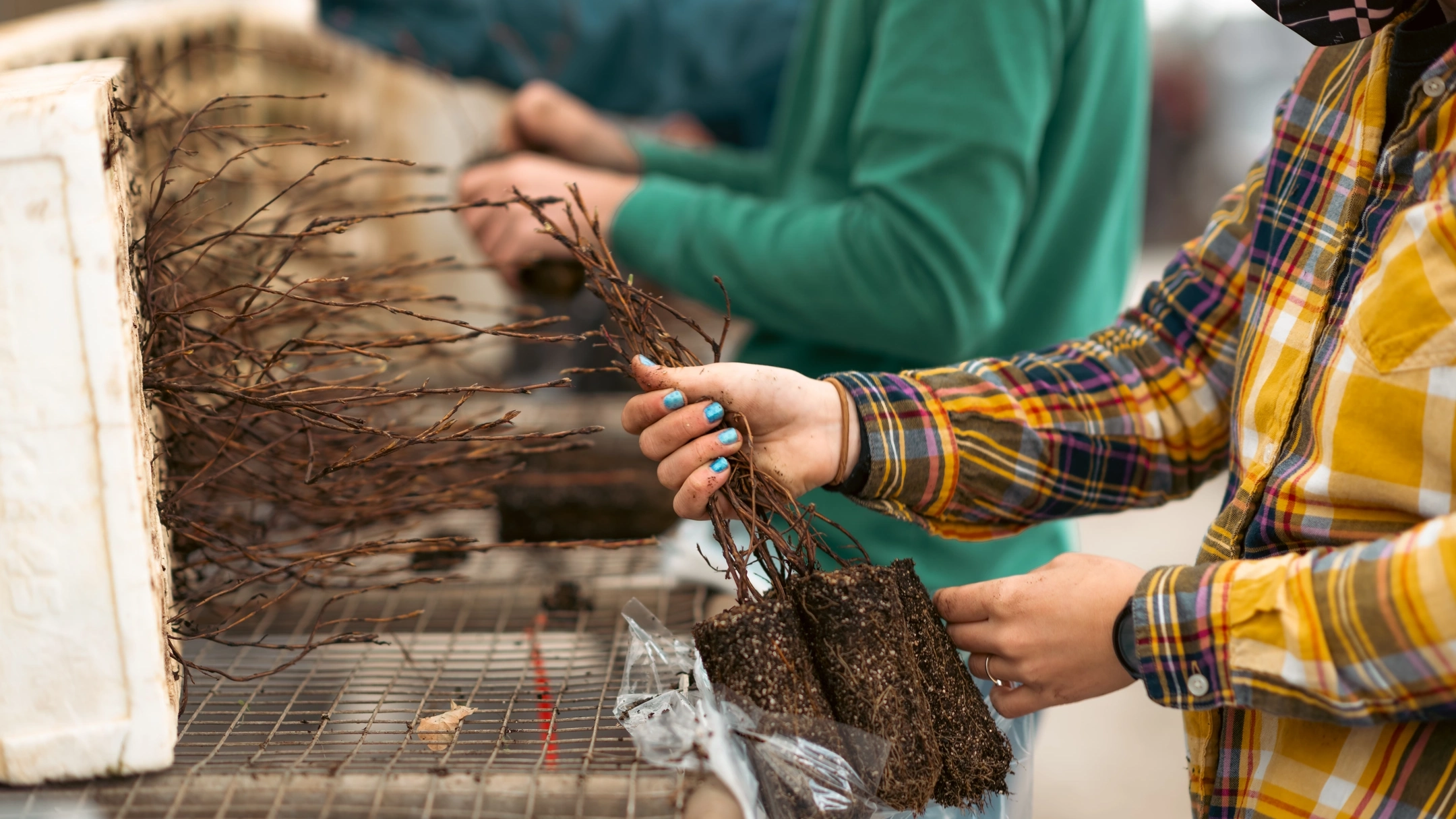 University of Idaho College of Natural Resources students learning hands-on in Pitkin Nursery