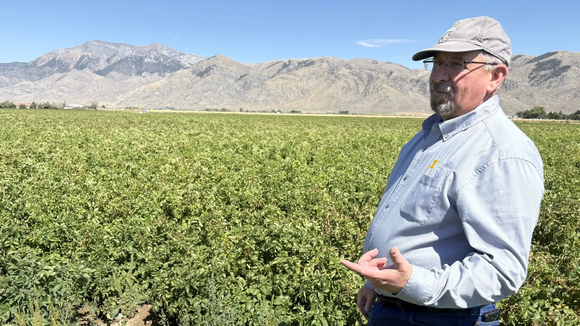 University of Idaho Extension educator David Callister stands by a yellow bucket at the edge of a potato field.