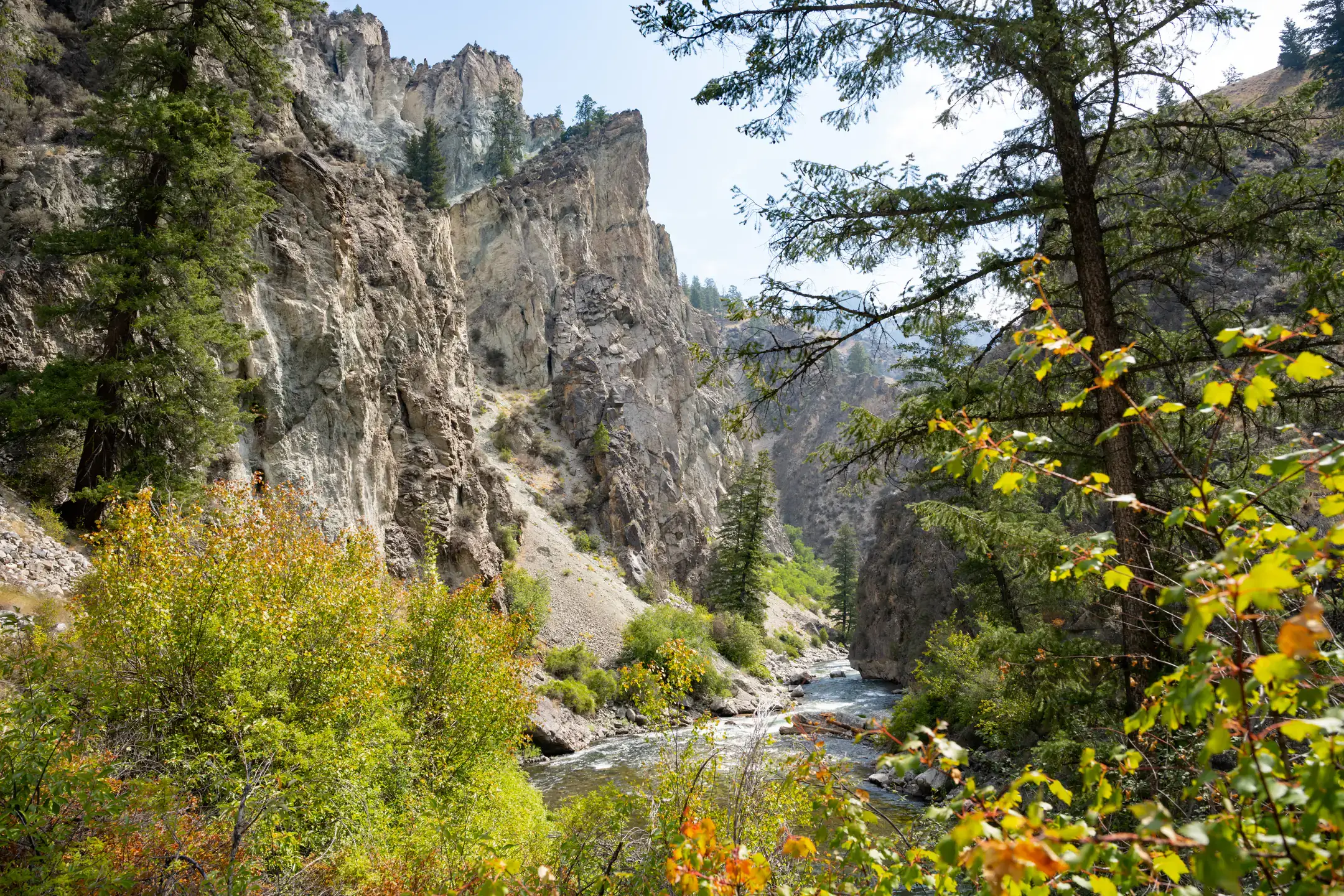 Taylor Wilderness Research Station in the Frank Church Wilderness of No Return.