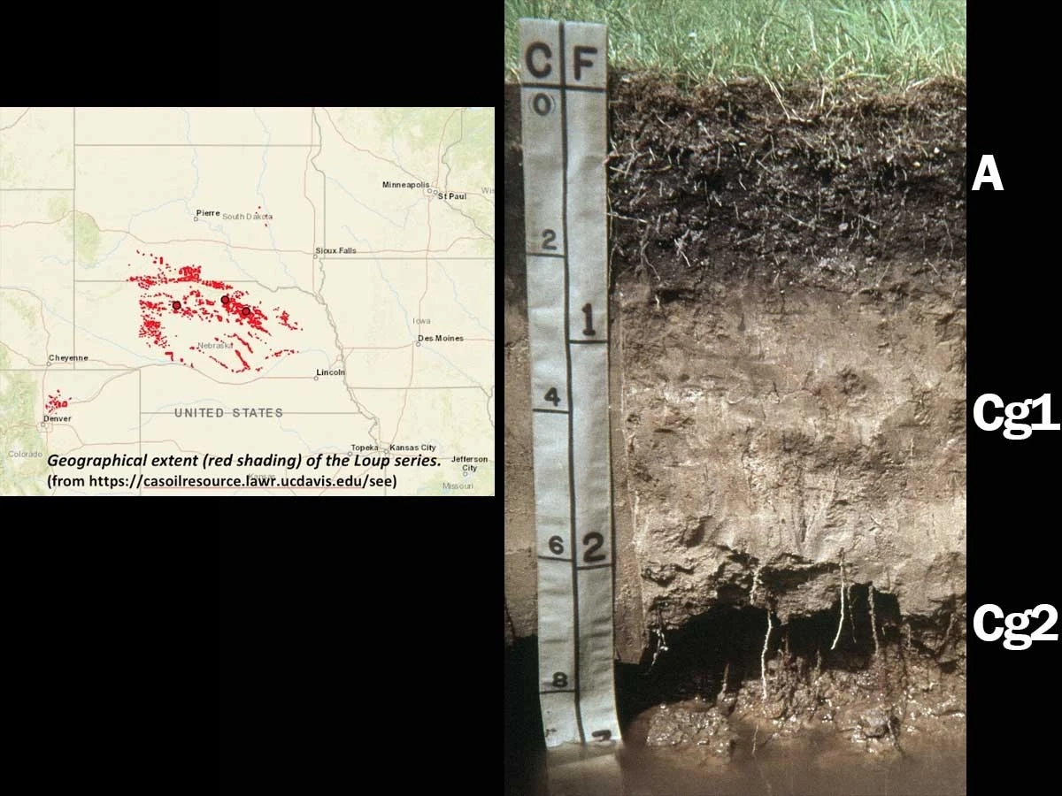 Typic endoaquoll in Nebraska