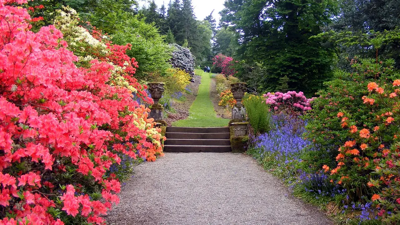 A variety of trees shrubs and vines
