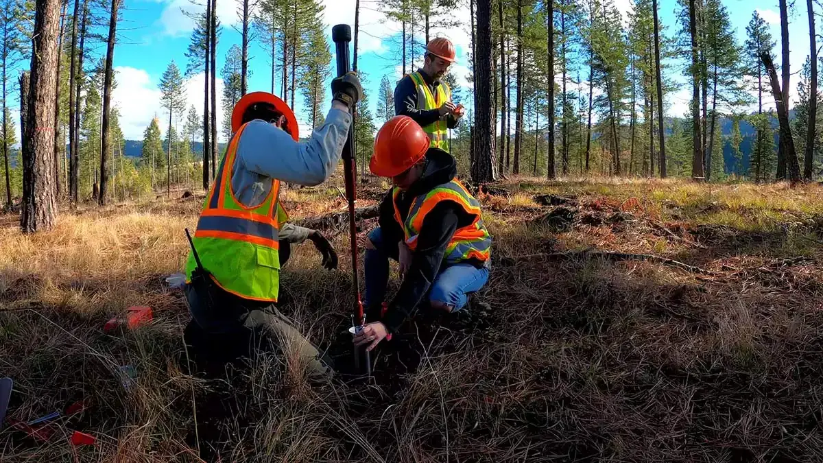 Two students take soil samples from the ground in a forest.