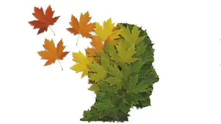 leaves form the shape of a human head from a side profile