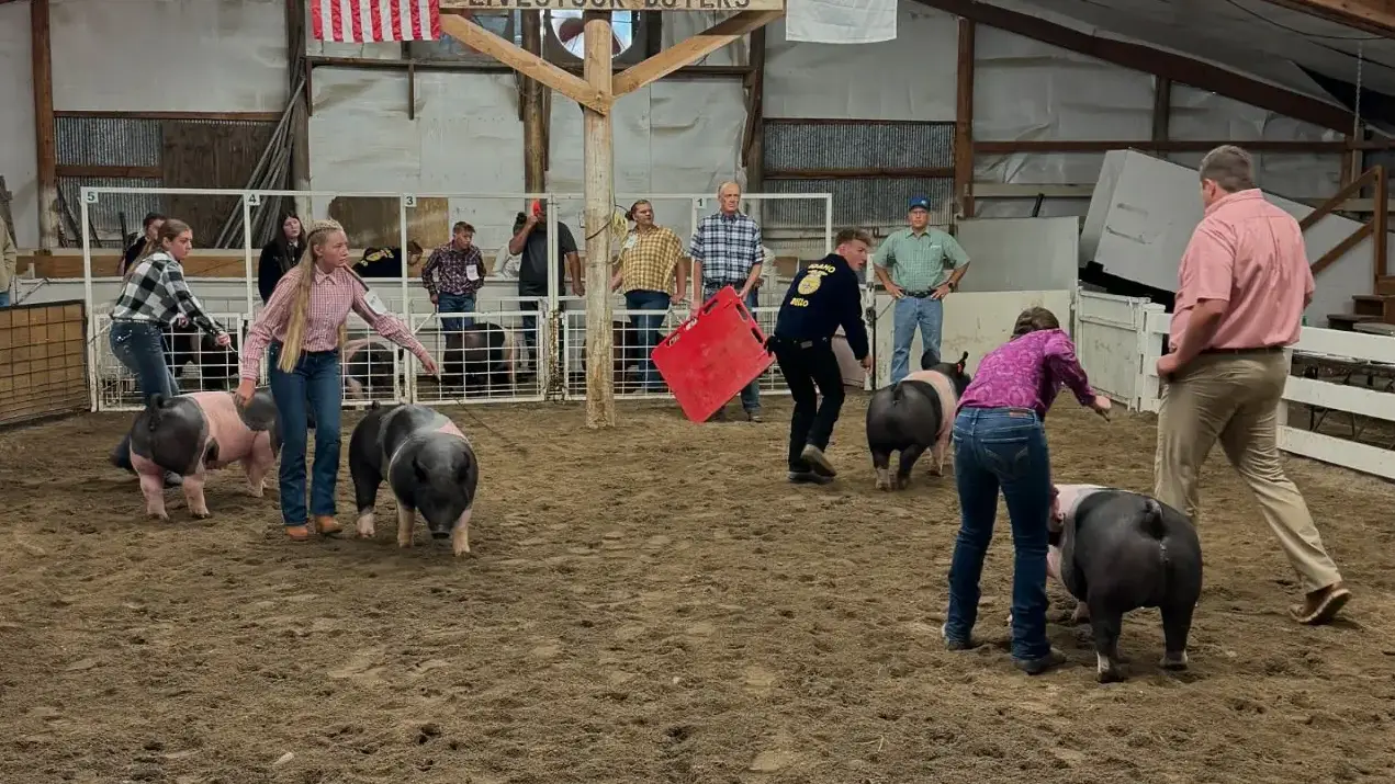 4-H photos and files located in counties