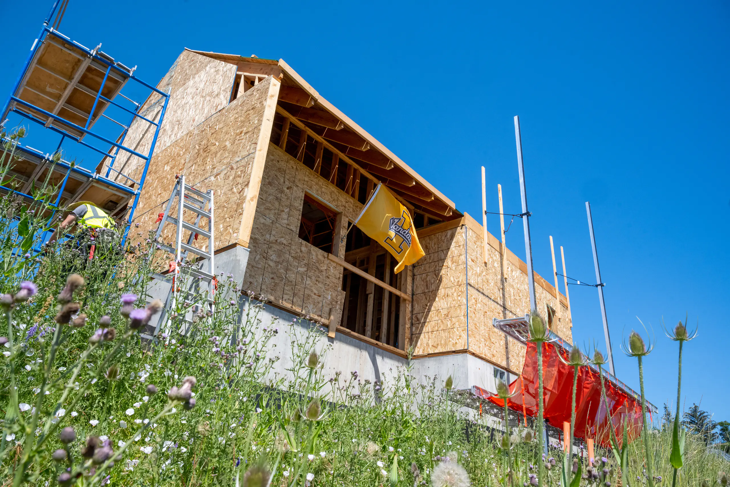 Photo of house with Vandal flag flying.
