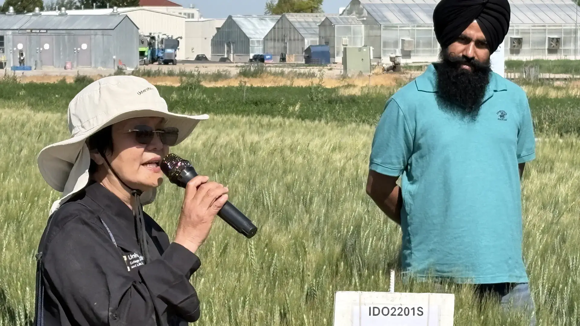  man and a woman stand in a field of wheat.