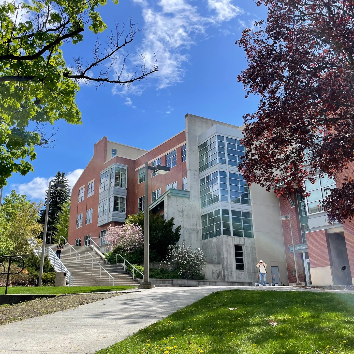 Seasonal campus scenery spring stock.