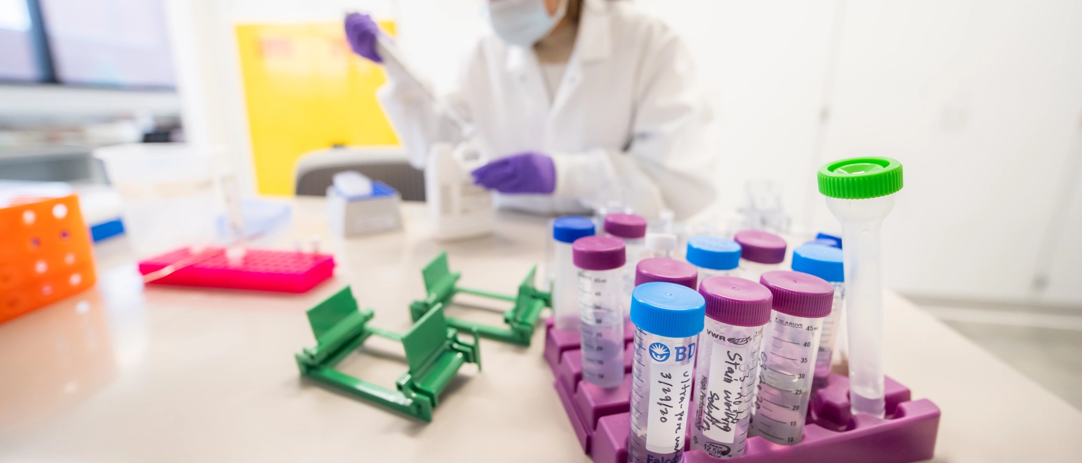 Silpa Subedi cancer researcher featured in  Vandals in Focus
