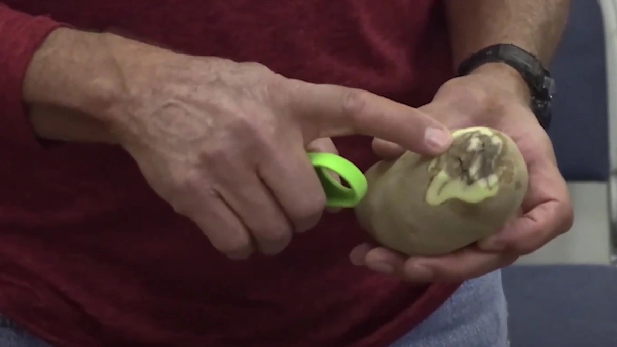 Potato bruise management video covers