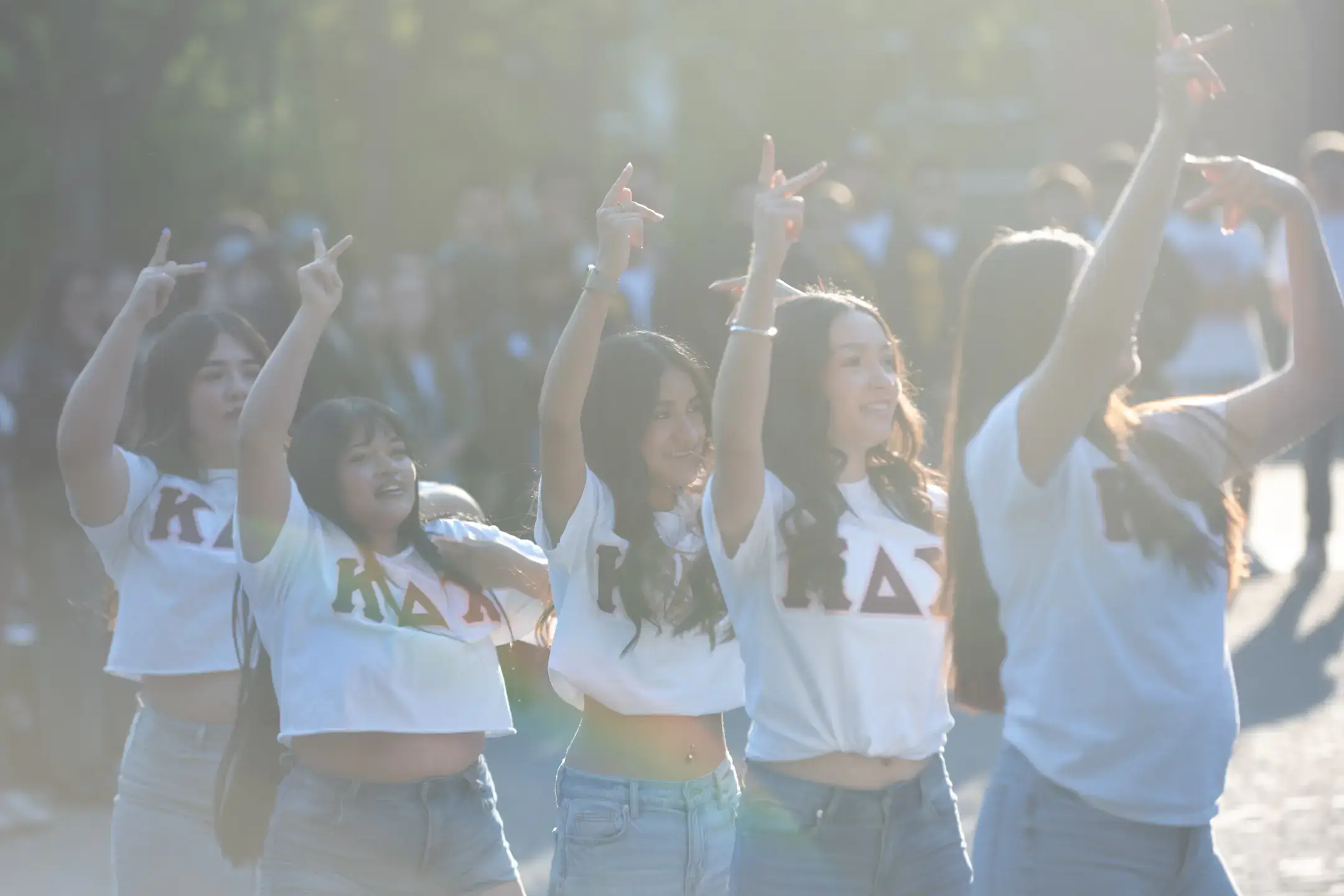 Multicultural Greek Council fall showcase of chapters