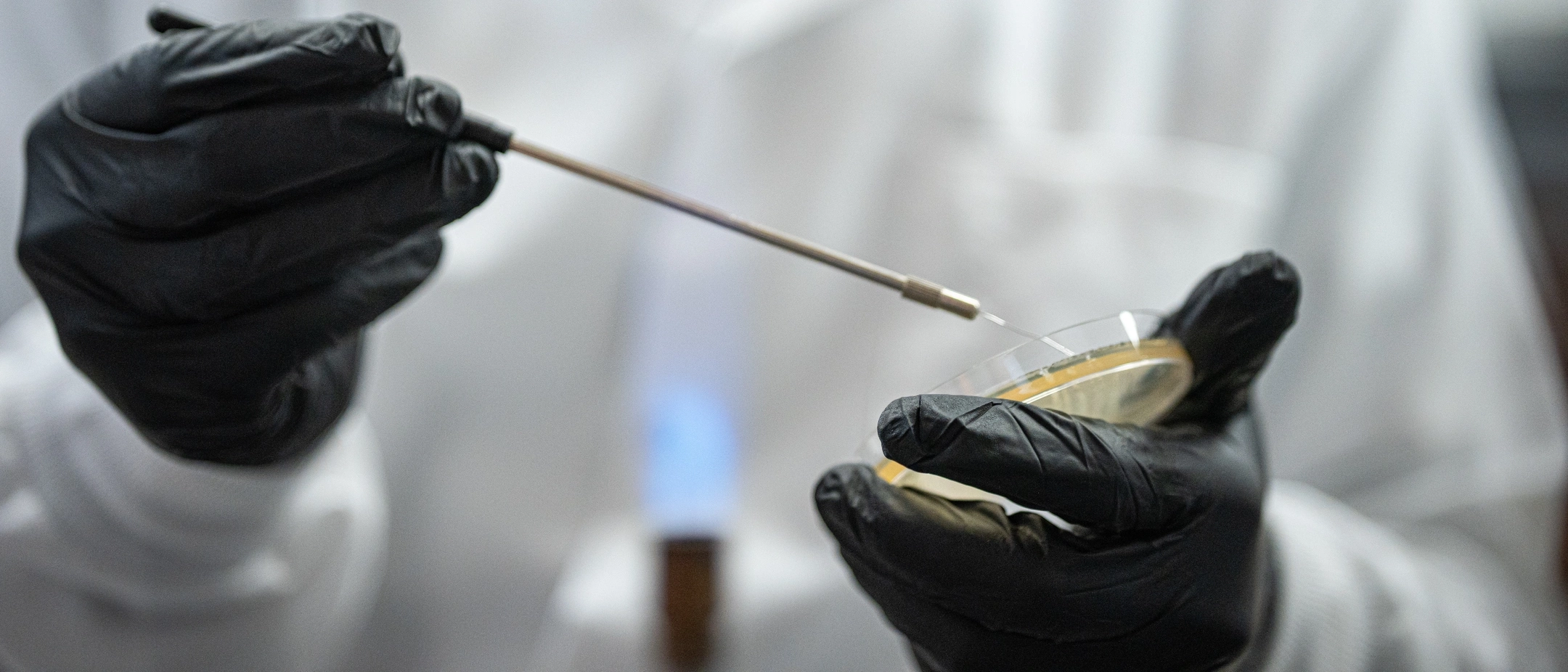 University of Idaho Biological Sciences faculty Klas Udekwu working with Bunsen burner and a loop tool while researching antibiotics from the perspective of how they filter into the environment.