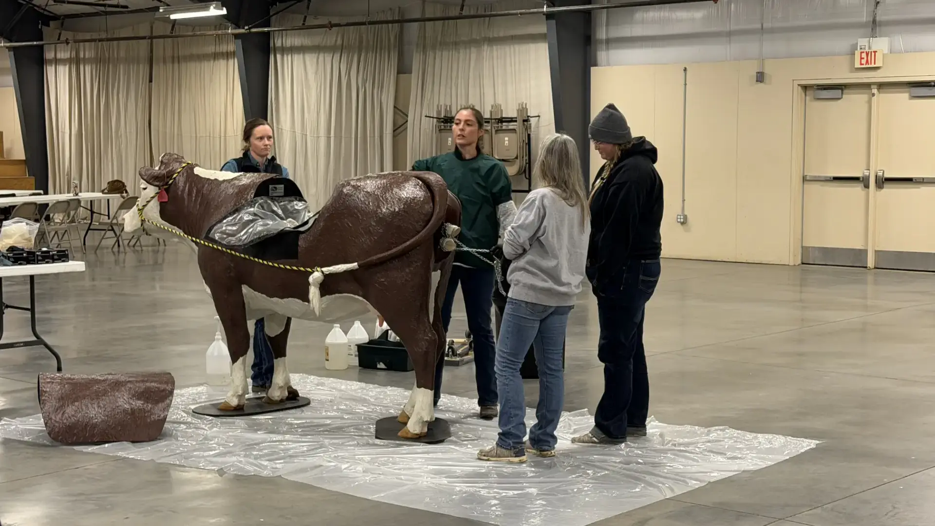 Calving school students practice pulling a stuck calf from a fiberglass model.