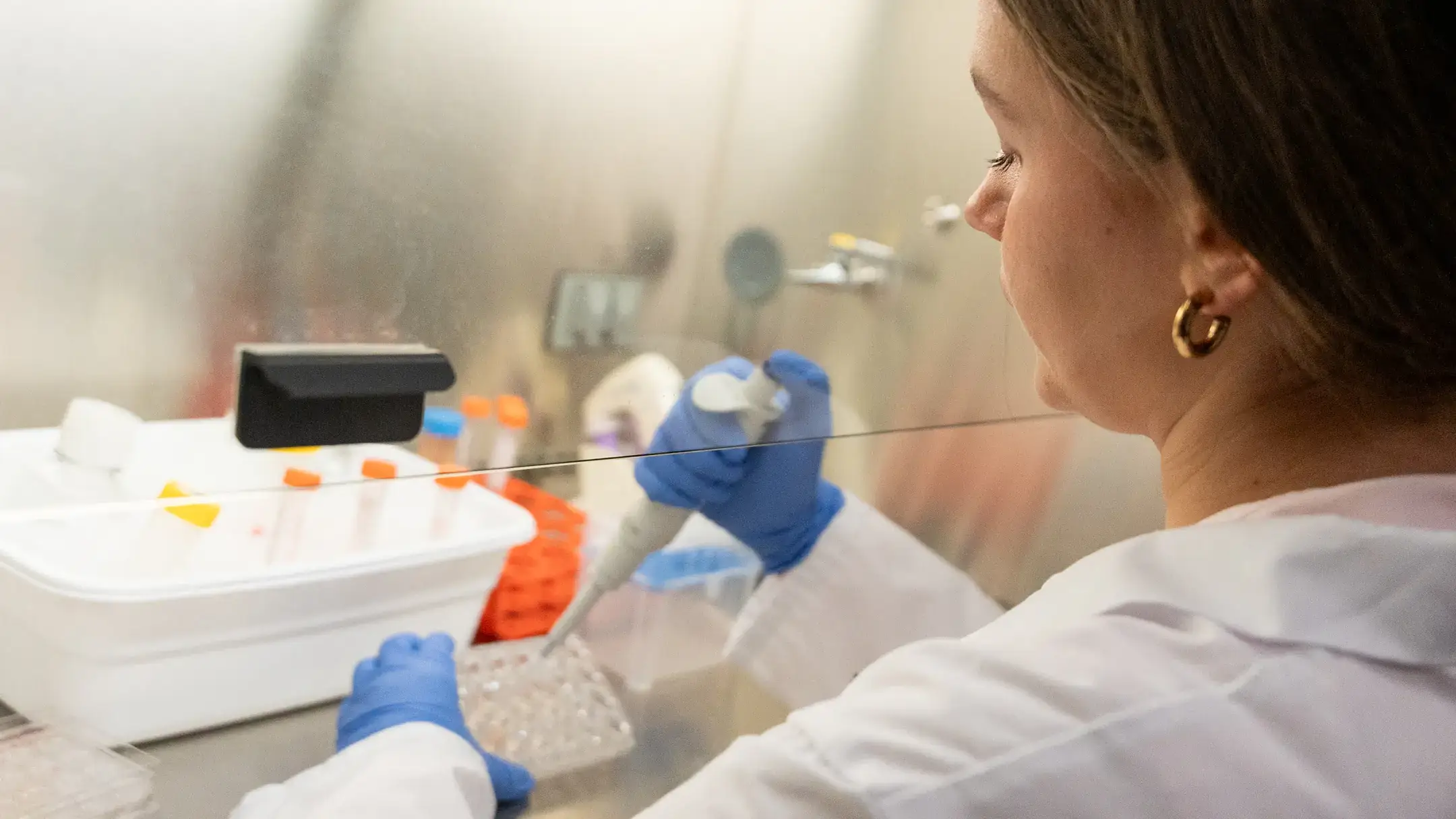 A scientist in a lab coat and gloves uses a pipette inside a sterile hood workspace in a laboratory.