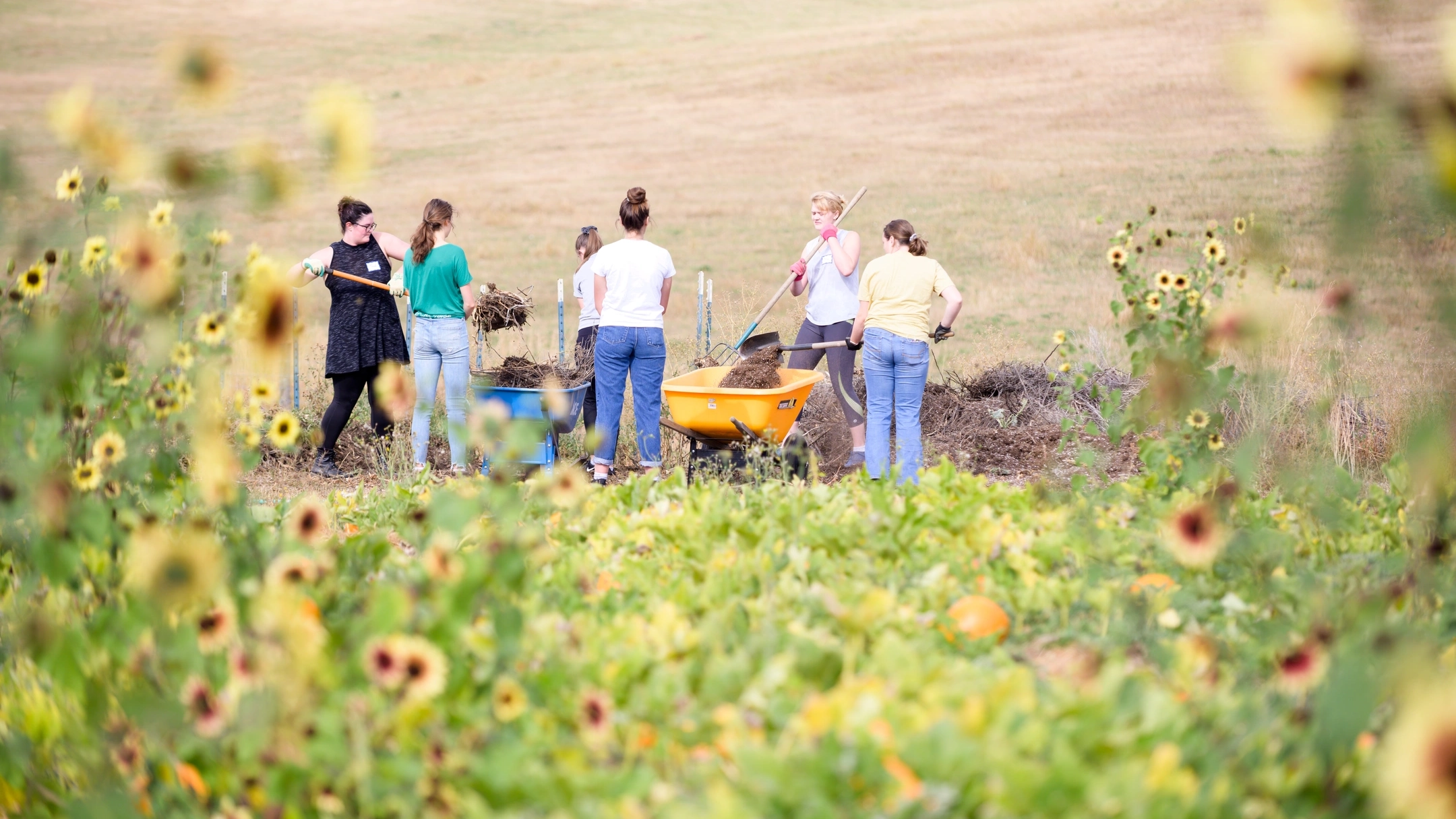 Students harvesting at the Soil Stewards Farm