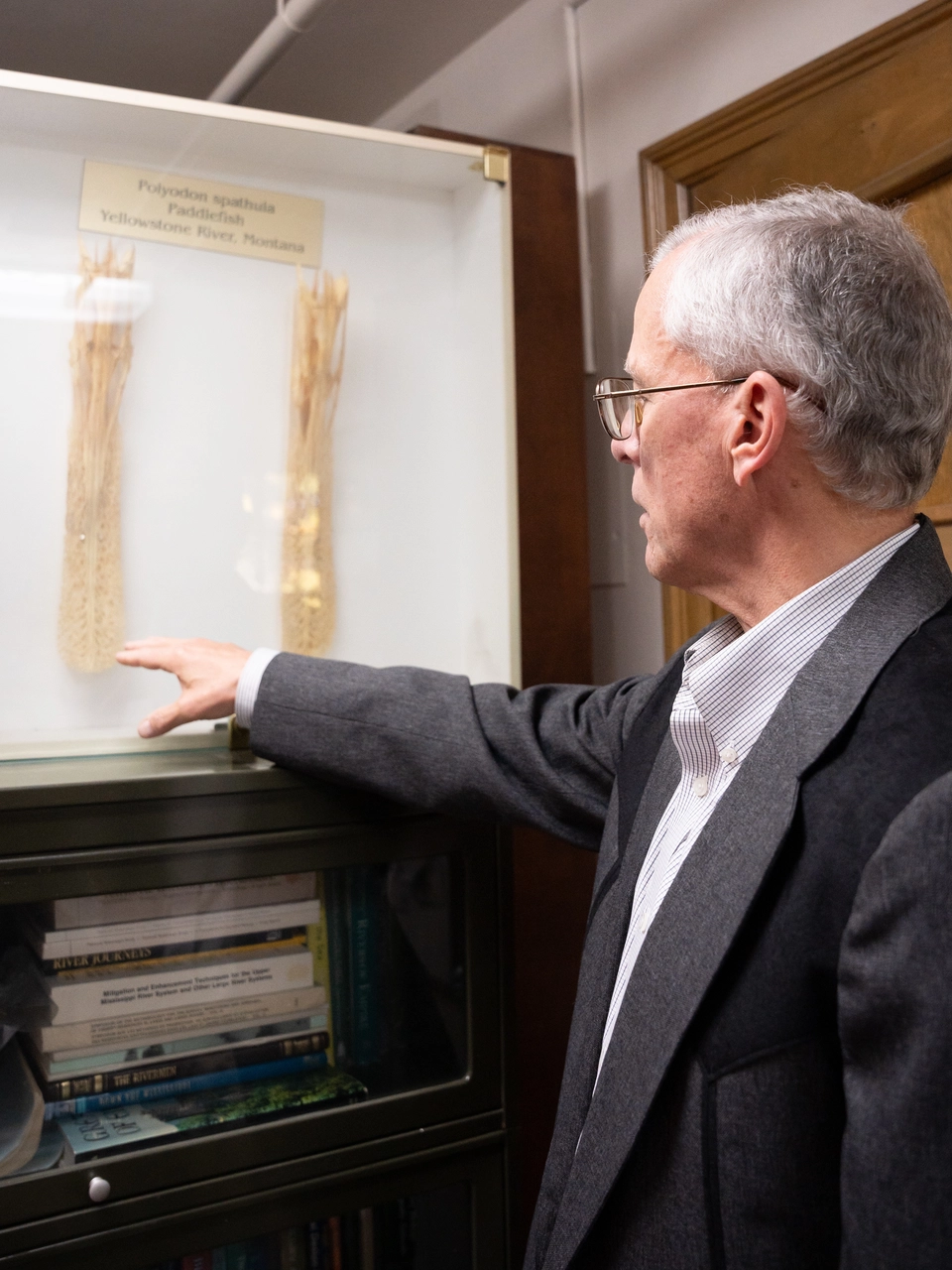 Man points to bones in display case