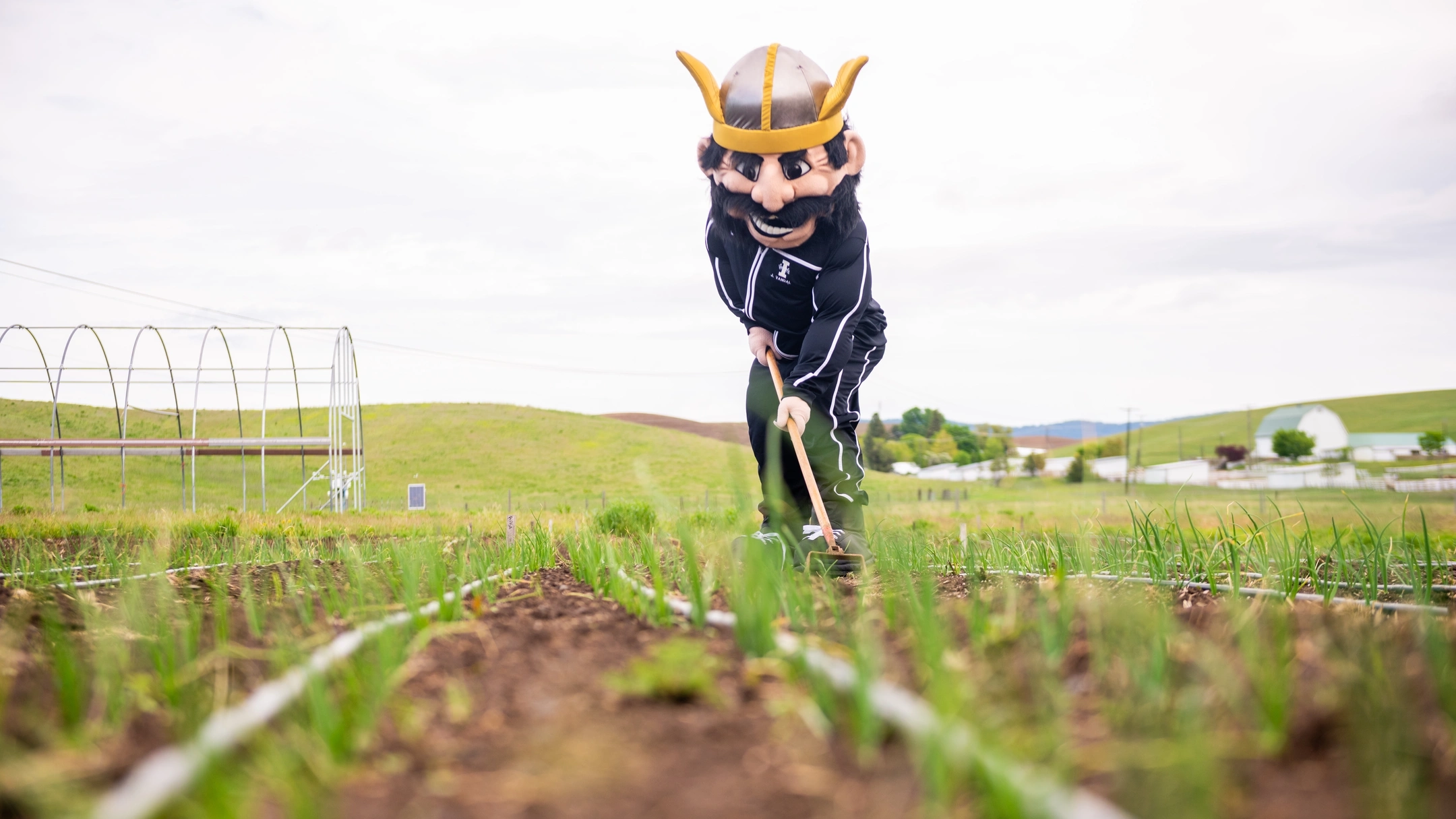 The Joe Vandal mascot farming new plants