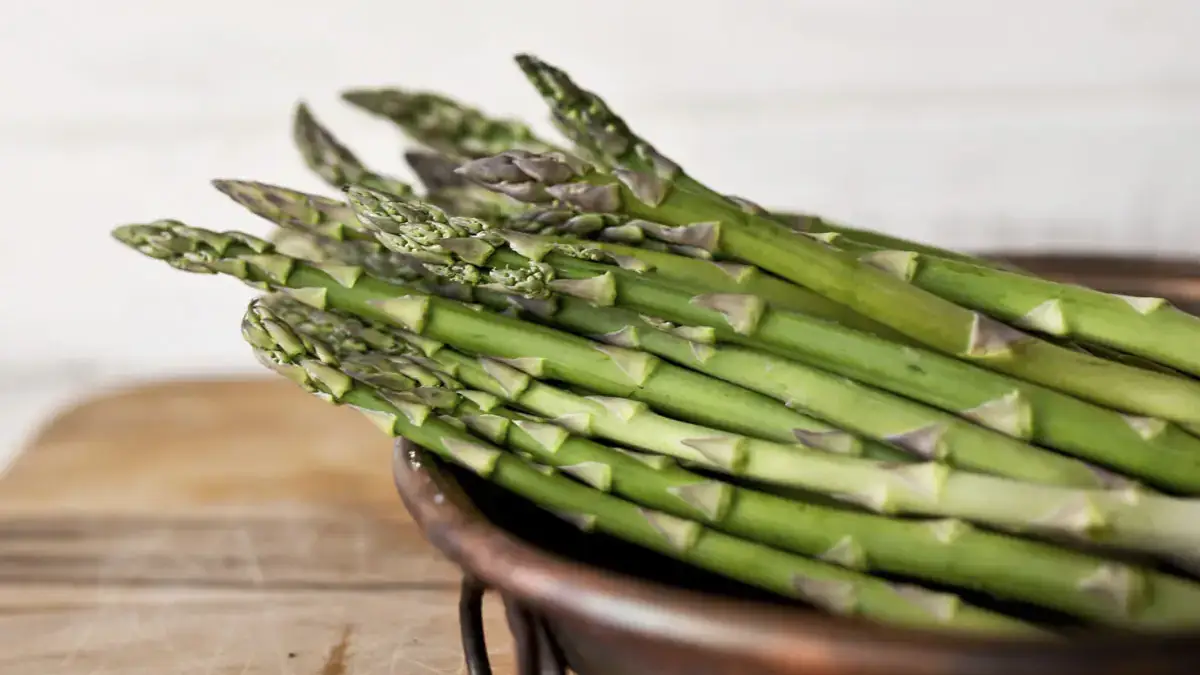 Landscapes and Gardens photos