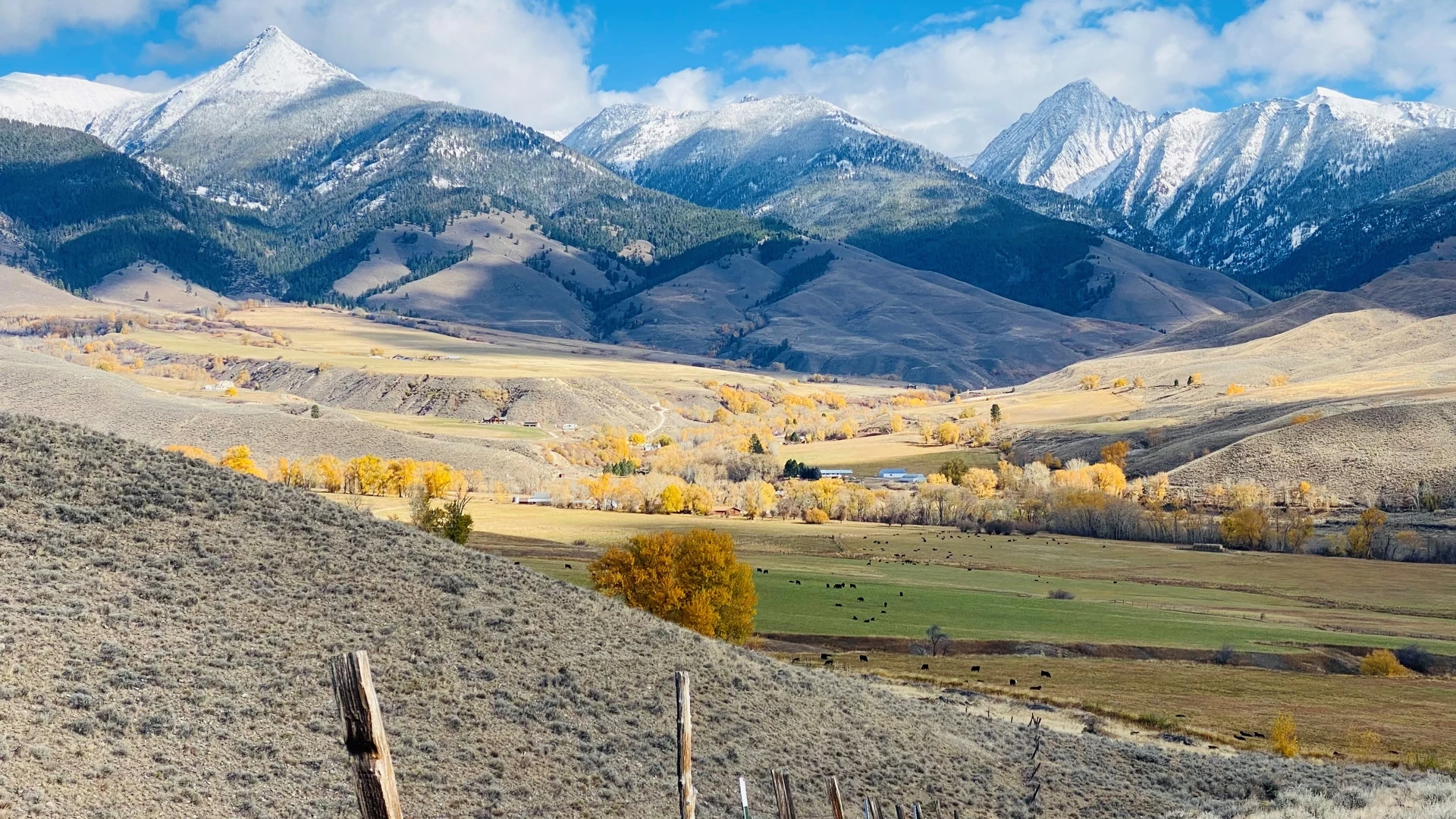 Mountain landscape with yellow trees and farm fencing, Photo courtesy of Seth McFarland
