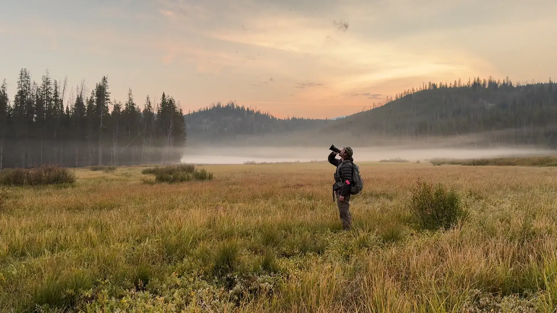 A team of University of Idaho researchers spent the summer in Idaho’s backcountry collecting wolf data to better understand family relationships and support informed wildlife management decisions. Through fieldwork that includes collecting scat and genetic material, the team maps wolf family trees to learn about population dynamics across the state. Pictured is U of I researcher and graduate student Peter Rebholz mimicing a wolf howl while on an 8-day research hike in the Salmon-Challis National Forest.