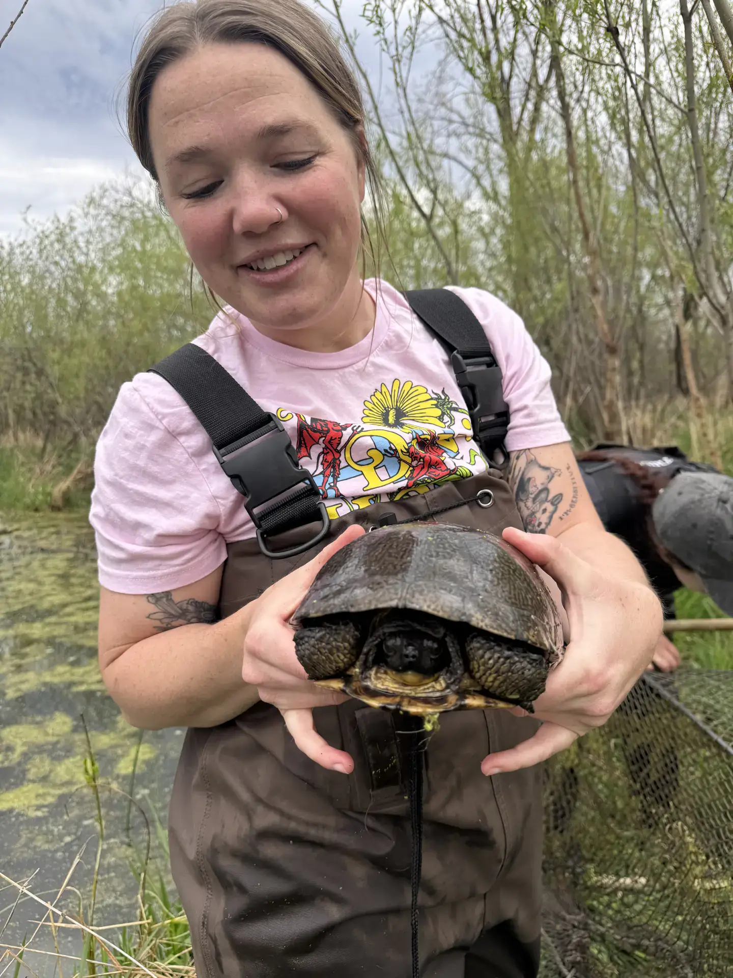 Woman wearing waders stands in marsh holding a turtle. 