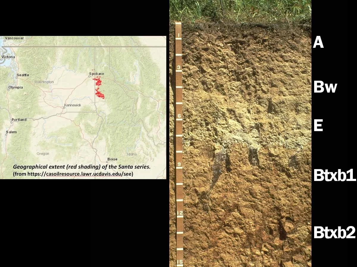 A geographical extent of the Santa series where this alfisols was found.