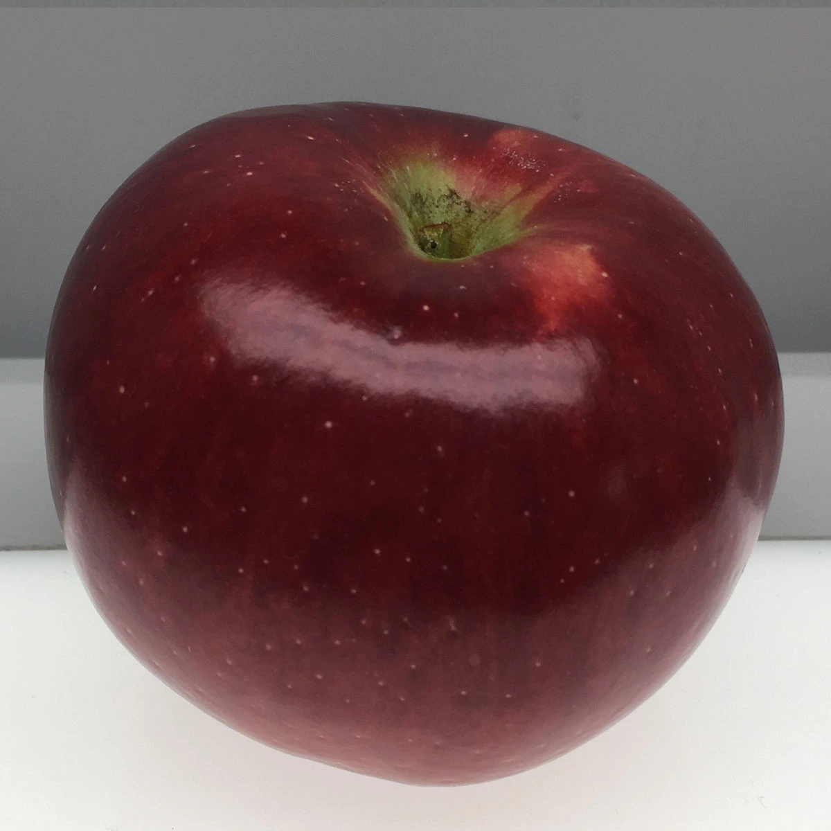 Sandpoint Organic Agriculture Center SOAC