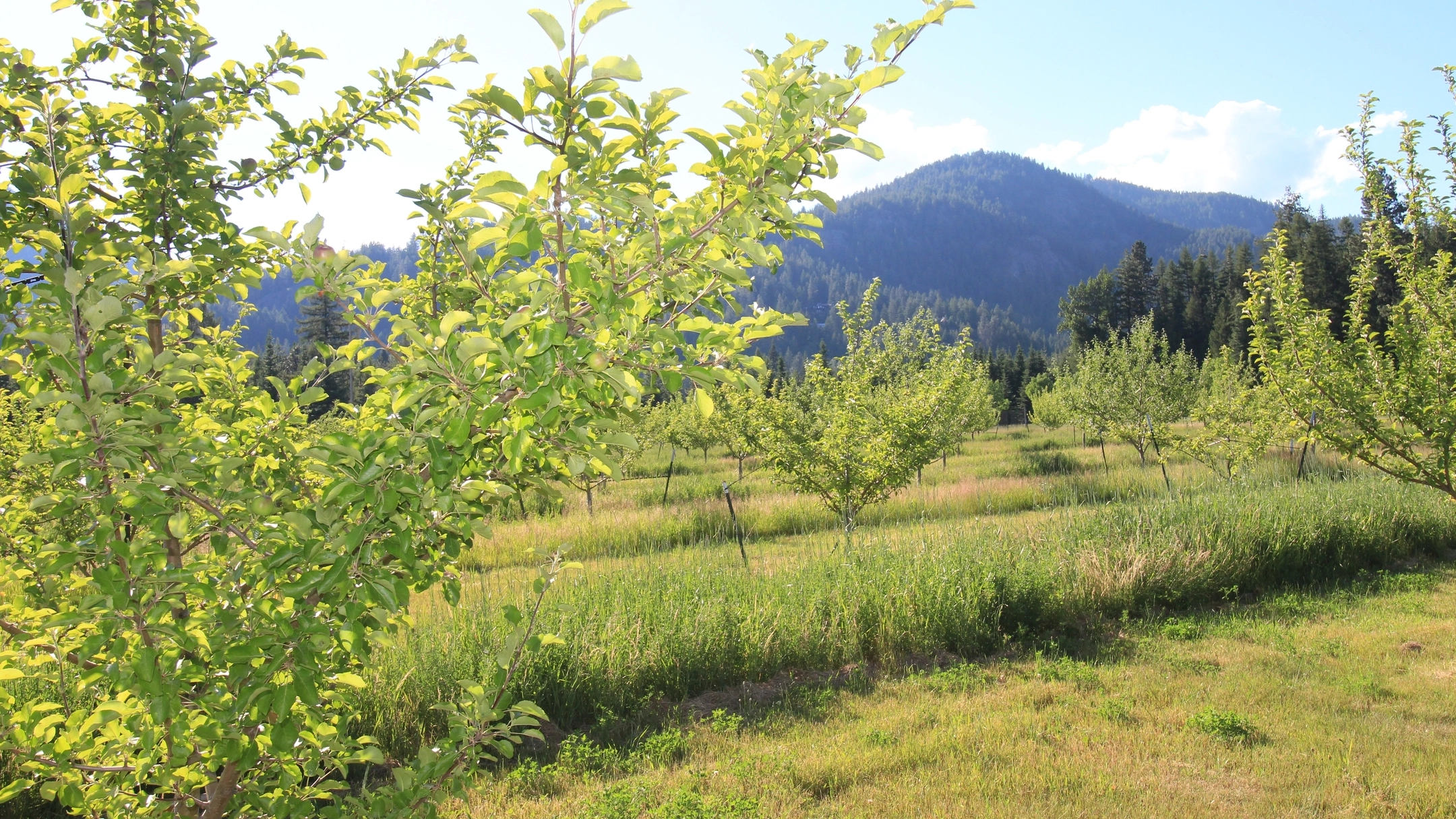 University of Idaho Extension events files