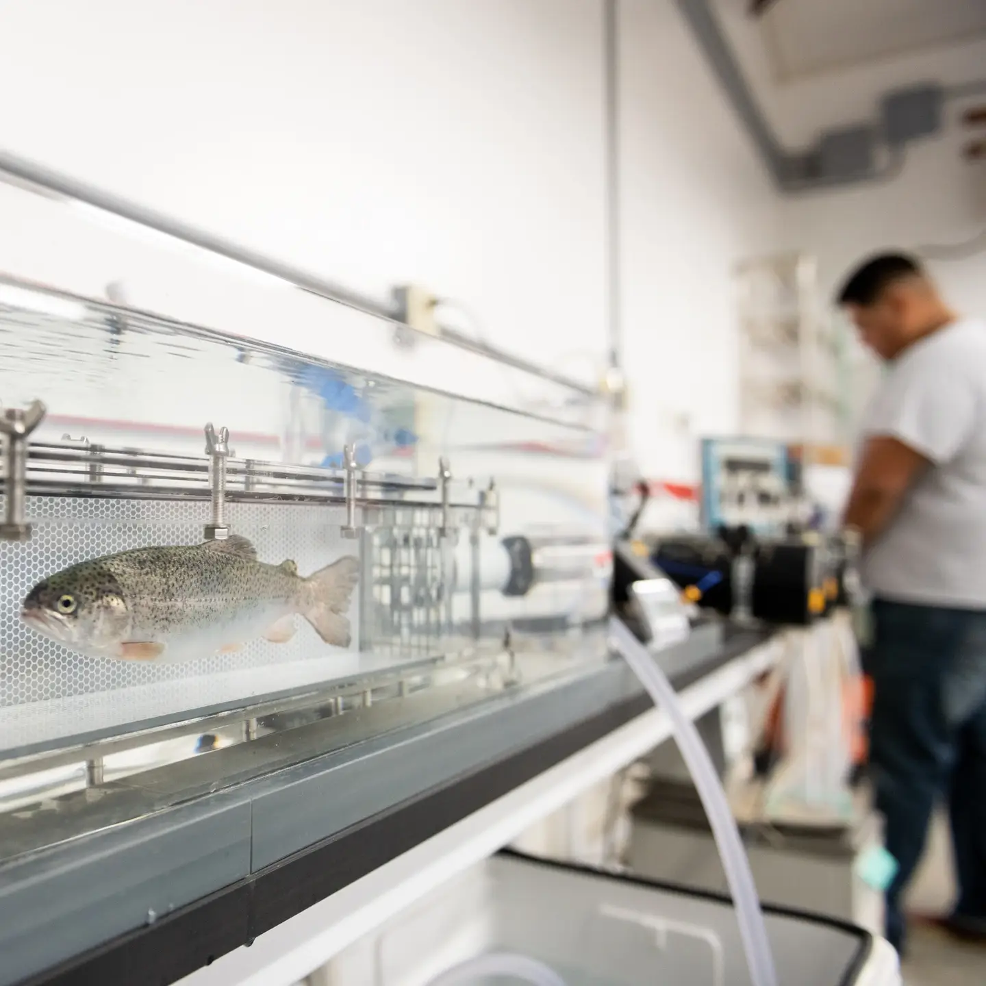 University Communications and Marketing Statewide tour 2020