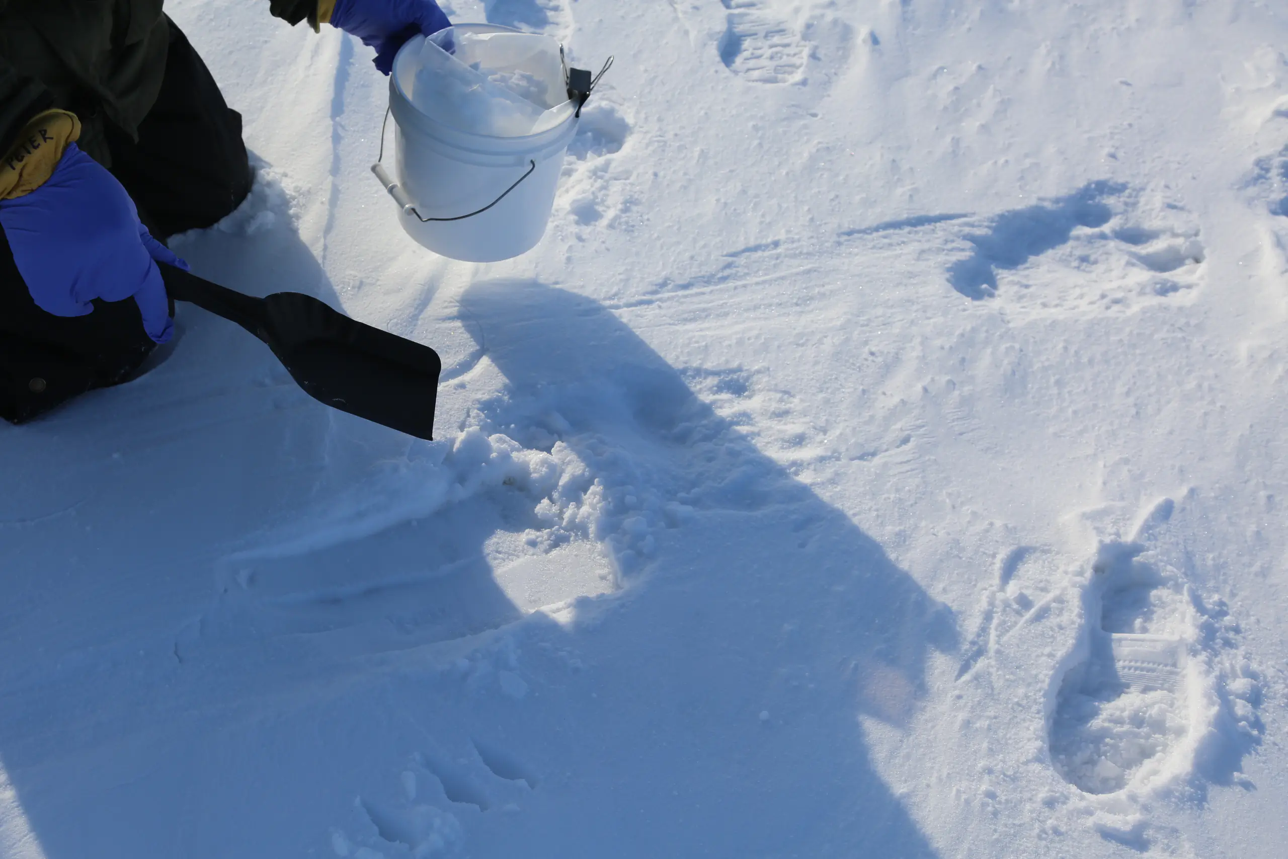 A researcher holding a trowel and kneeling over pawprints in the snow
