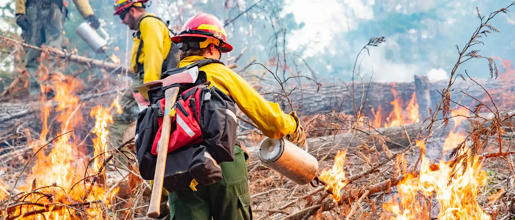College of Natural Resources prescribed burn in the University of Idaho Experimental Forest