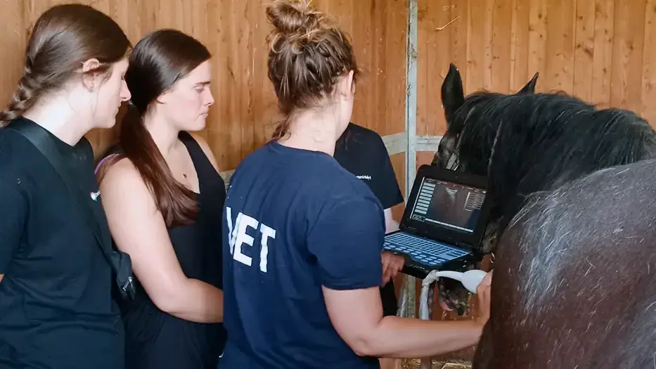 Three women looking at an ultrasound of a horse.