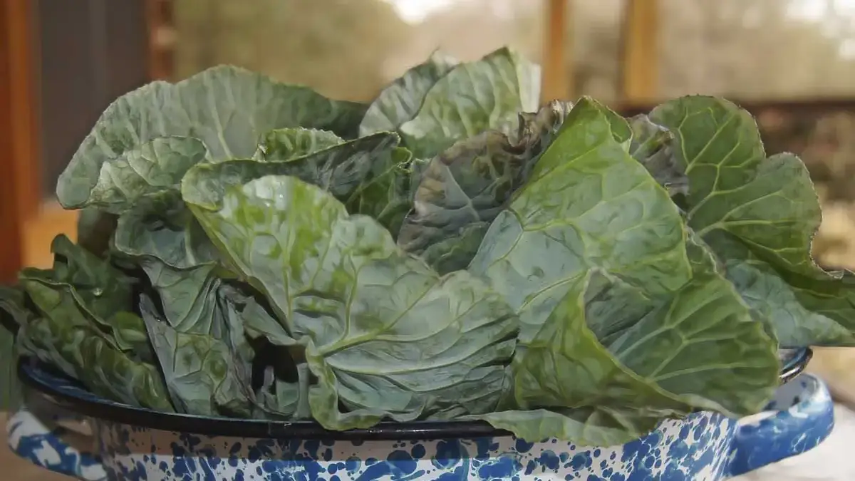 Landscapes and Gardens photos