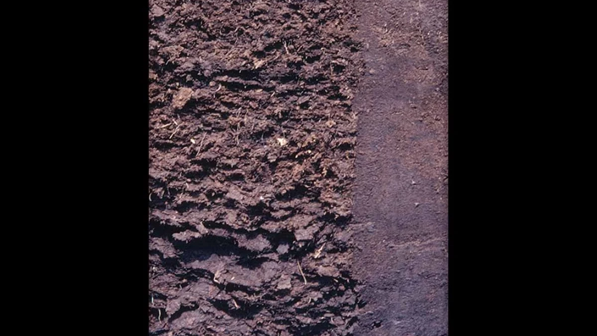 Histosols layers