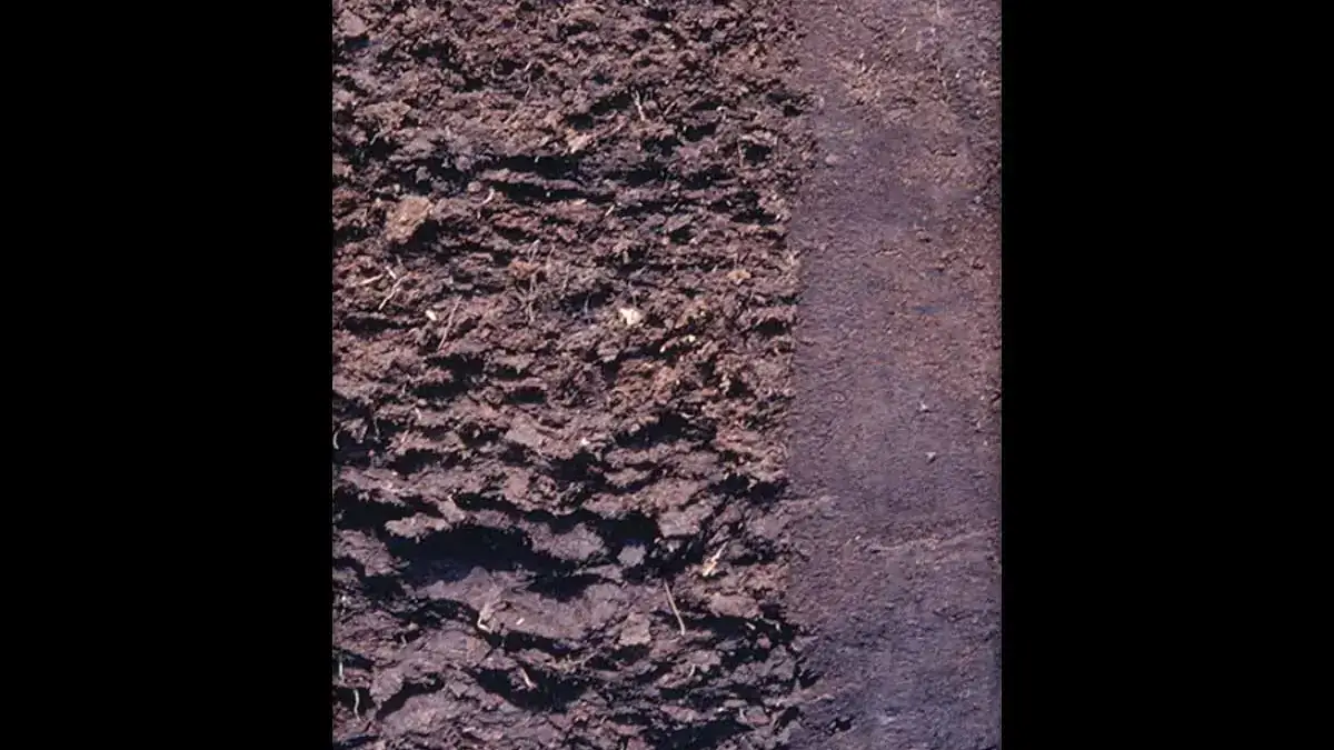 Histosols layers
