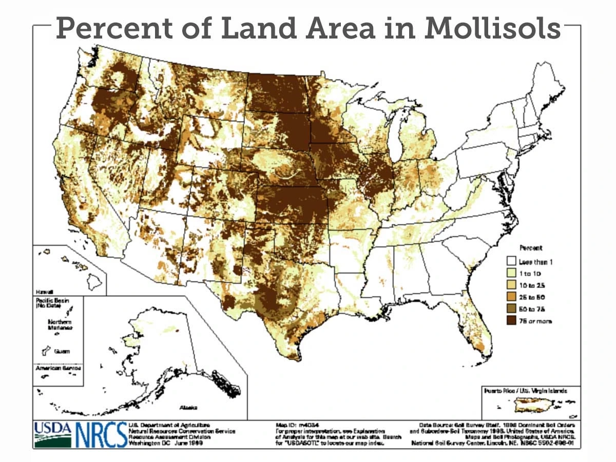 A US map of percent of land area in Mollisols
