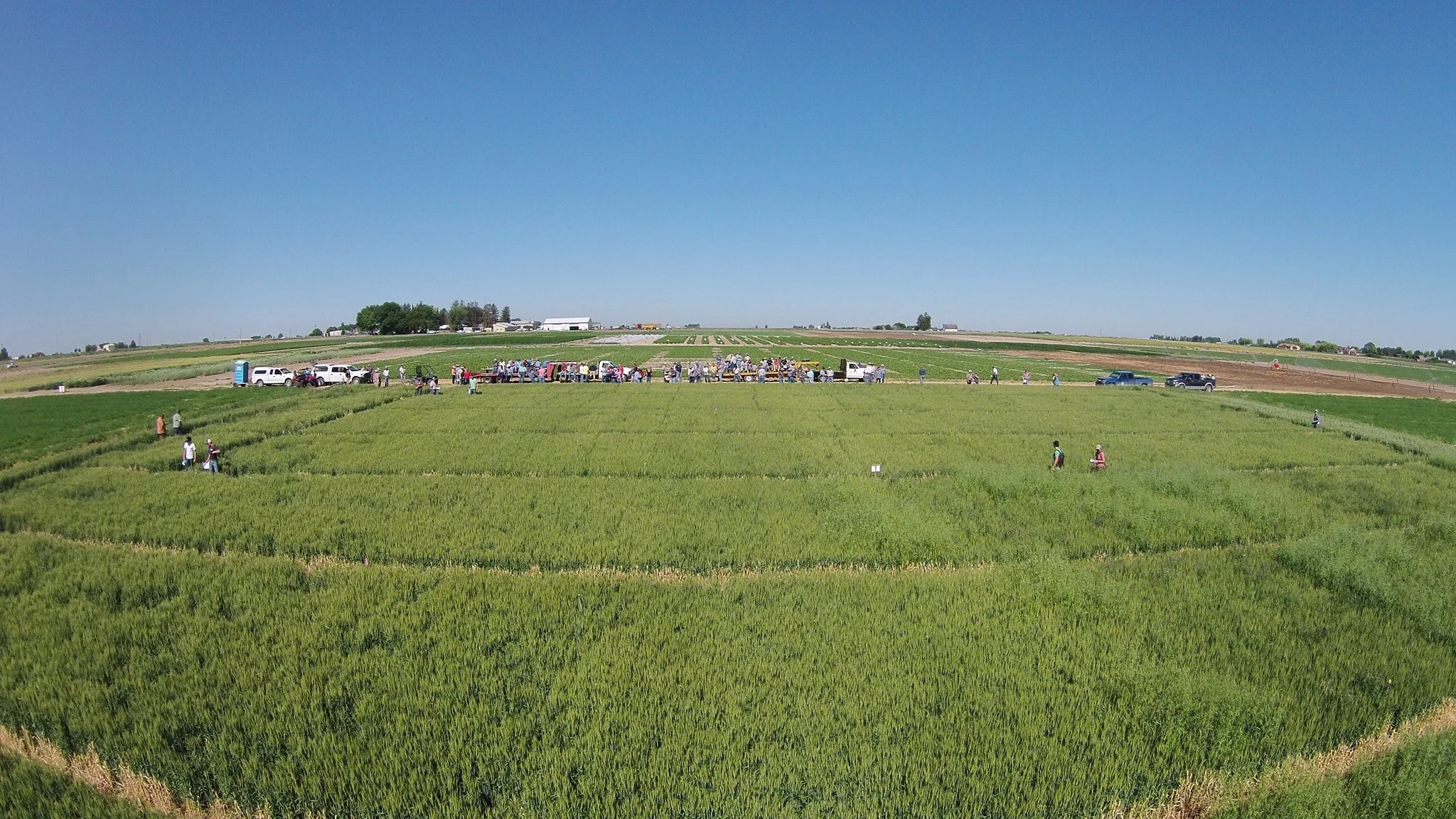 Research and Extension Center photos