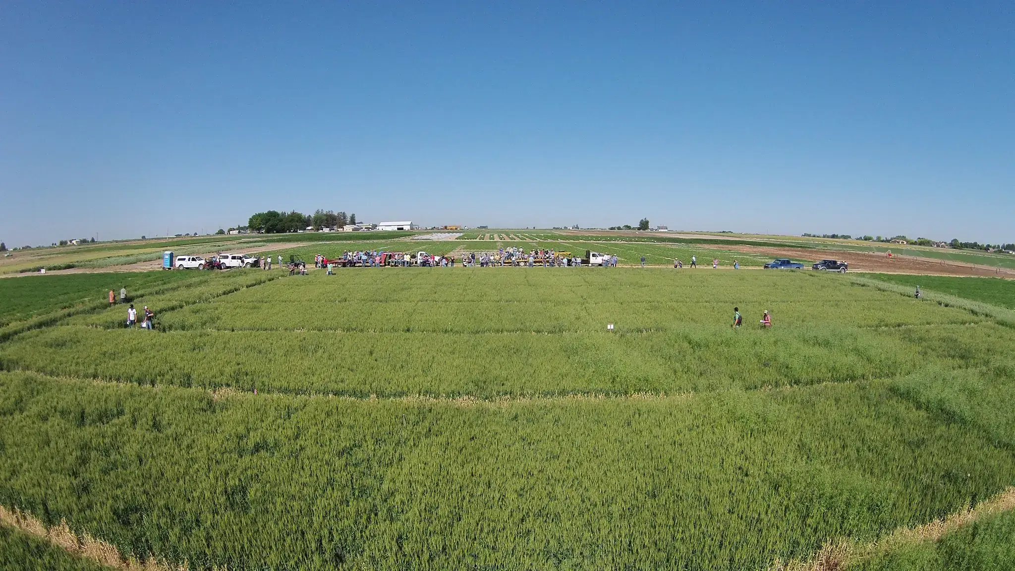 Research and Extension Center photos