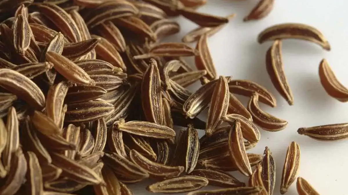 Landscapes and Gardens photos