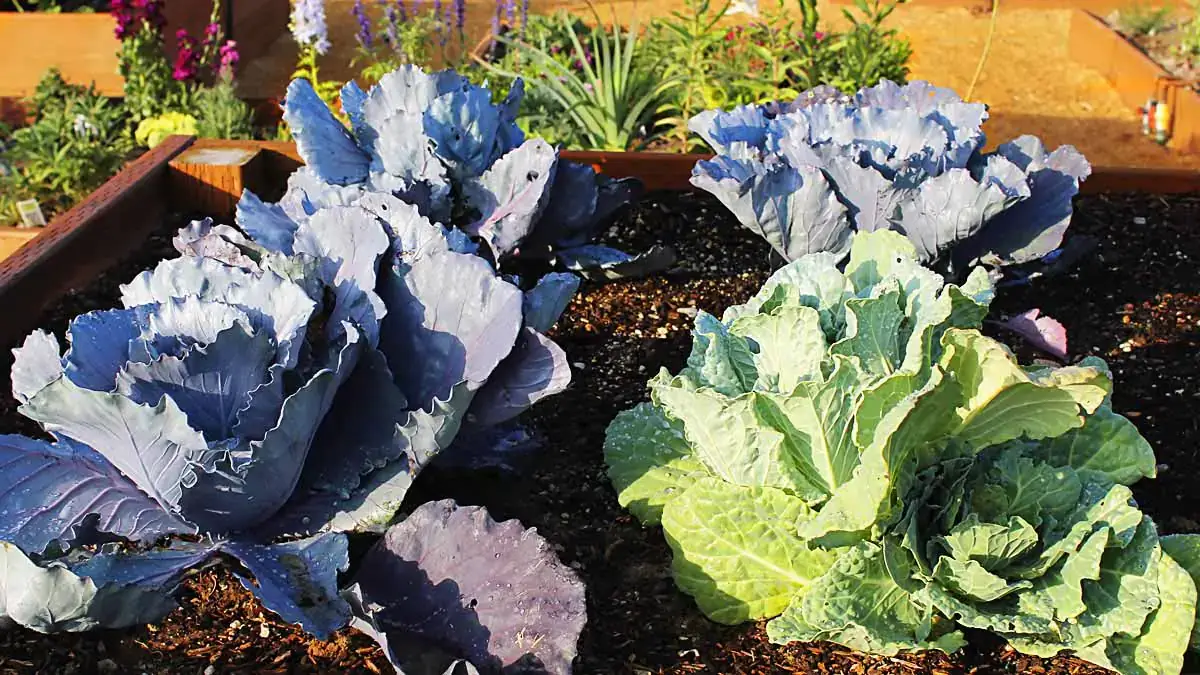 Landscapes and Gardens photos