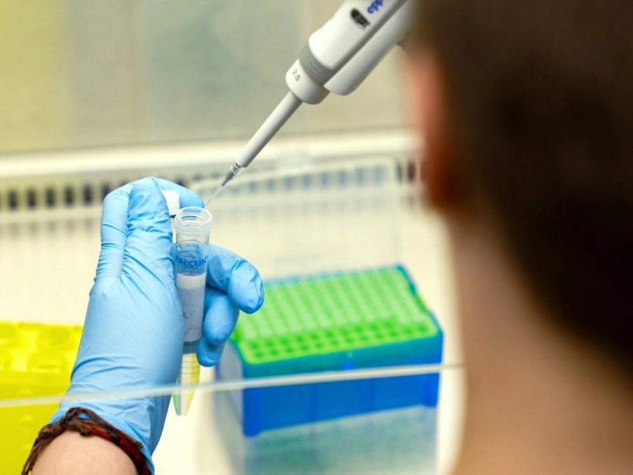 Student works with research materials to study tendon formation